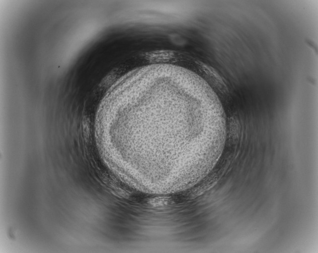 X0000097770761200803281640