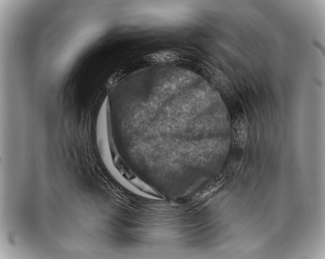 X0000097770762200803281640