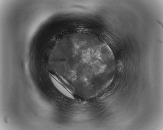 X0000097770763200803281640