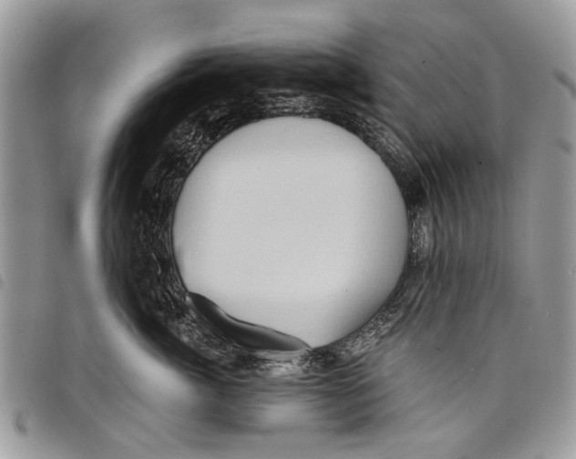 X0000097770764200803281640