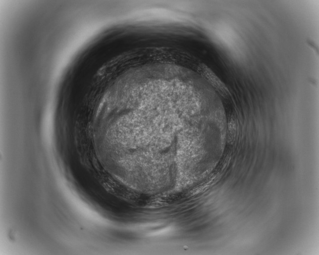 X0000097770765200803281640