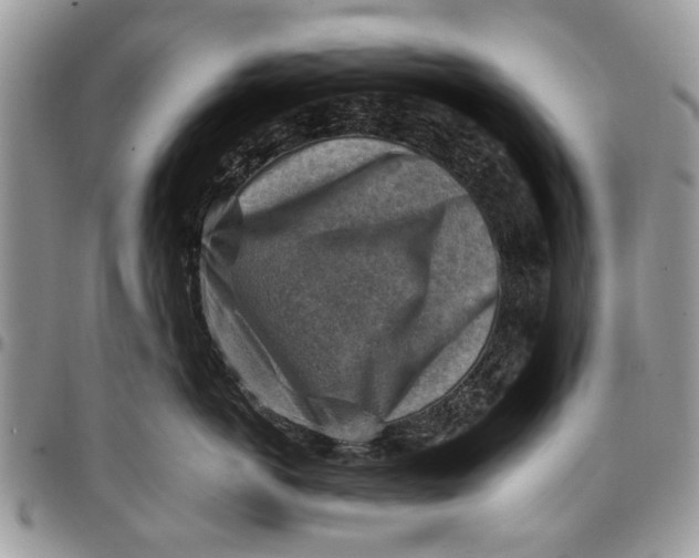 X0000097770766200803281640