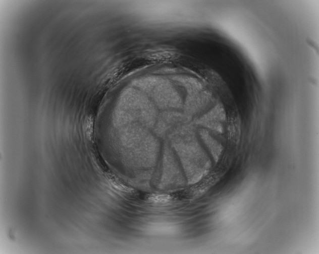 X0000097770767200803281640