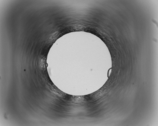 X0000097770768200803281640