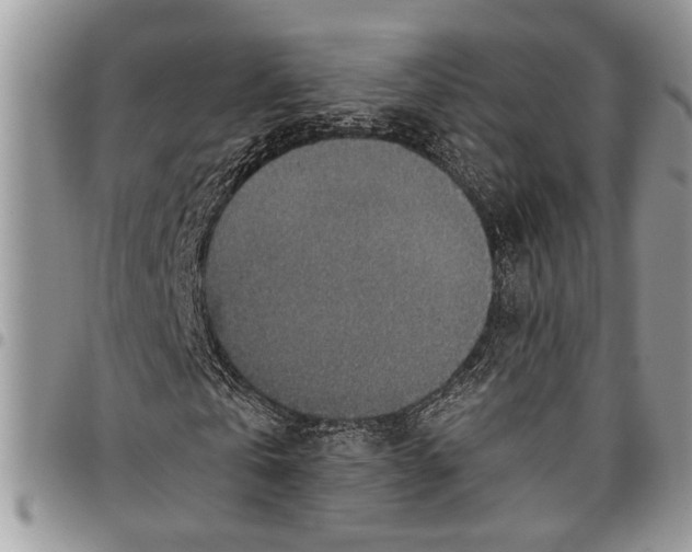 X0000097770769200803281639