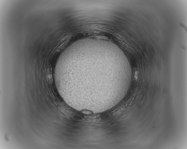 X0000097770771200803281639