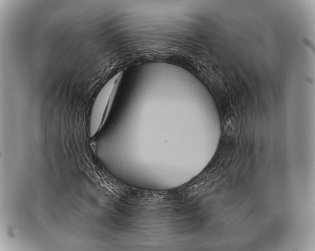 X0000097770772200803281639