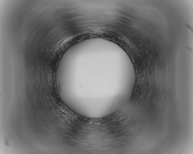 X0000097770773200803281639