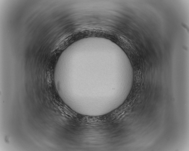 X0000097770774200803281639