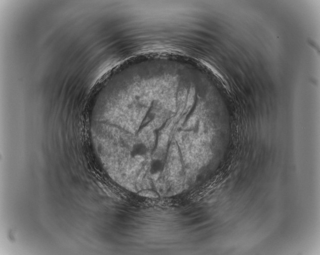 X0000097770775200803281639