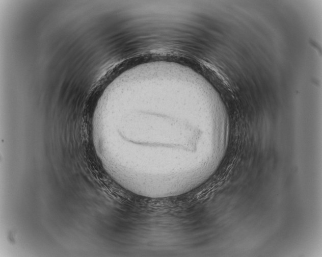 X0000097770776200803281639