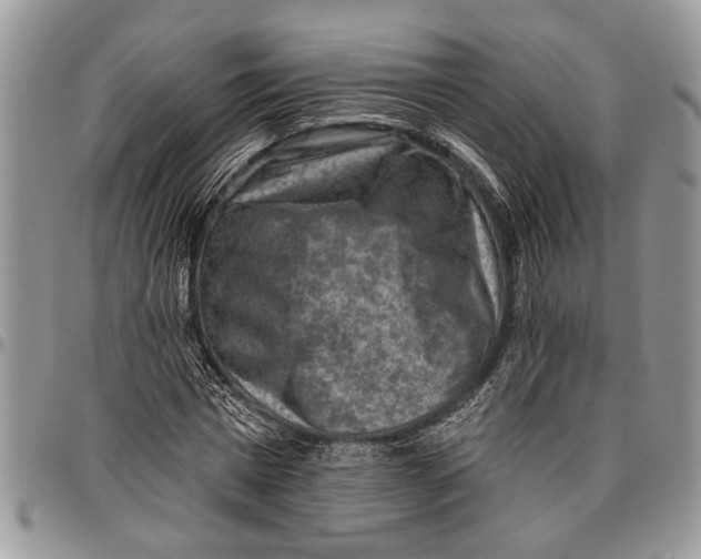 X0000097770777200803281639