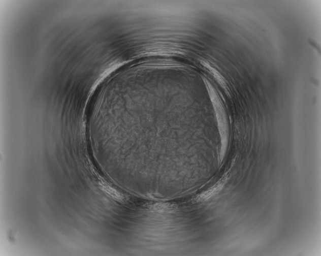 X0000097770779200803281639