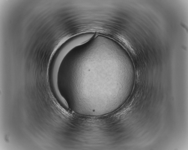 X0000097770780200803281639