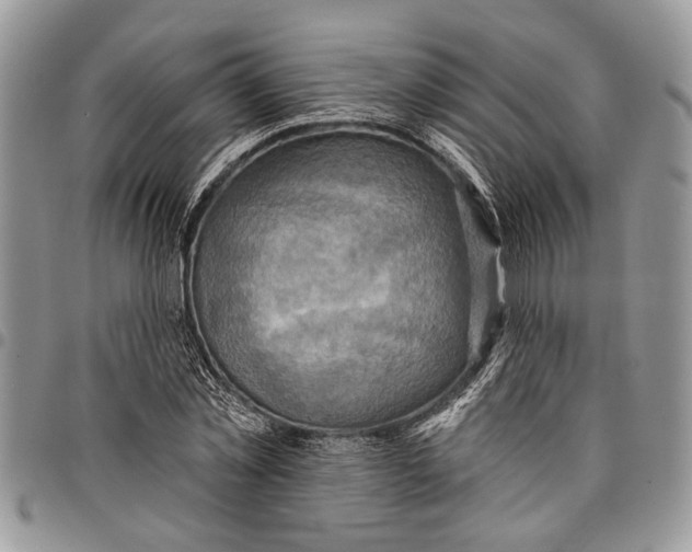 X0000097770781200803281639