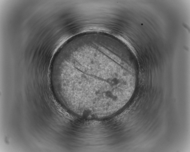 X0000097770783200803281639