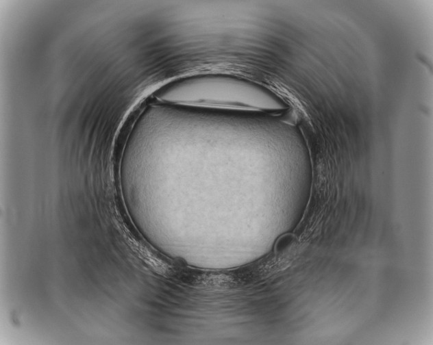 X0000097770784200803281639