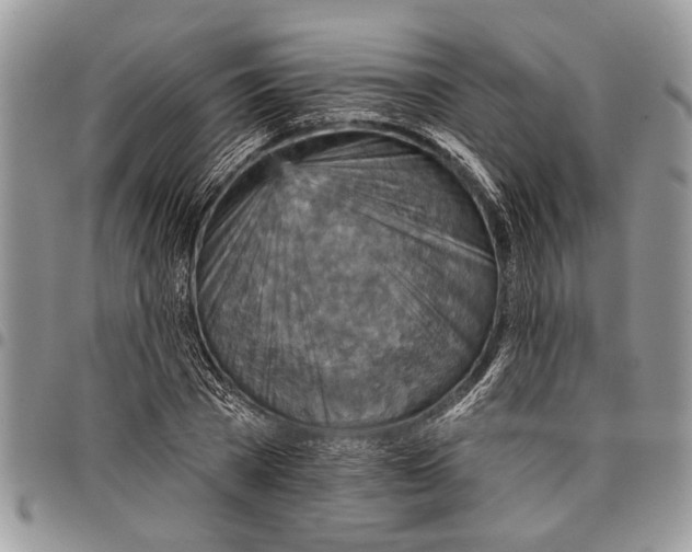 X0000097770785200803281639