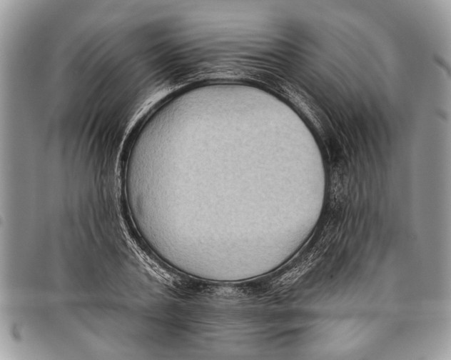 X0000097770787200803281639