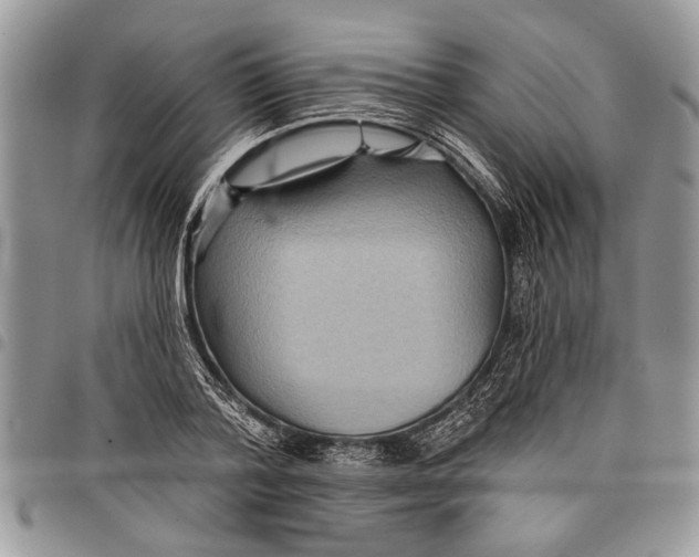 X0000097770788200803281639