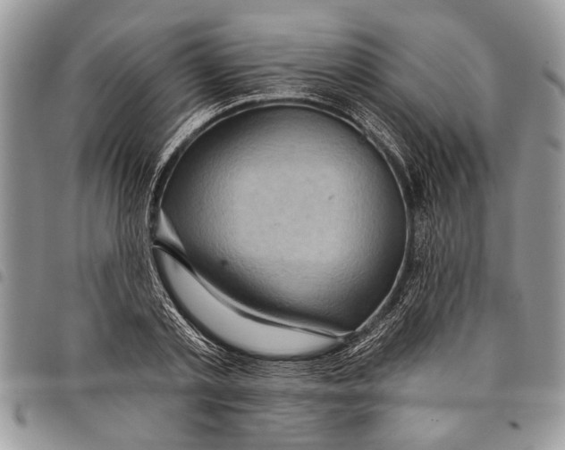 X0000097770789200803281639