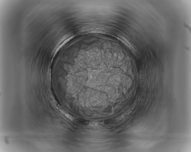 X0000097770790200803281639