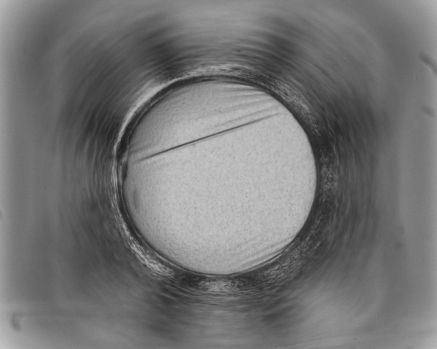 X0000097770792200803281639