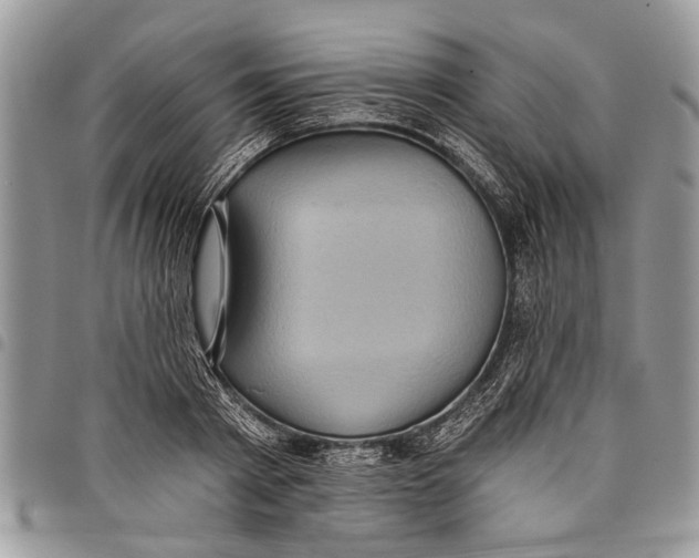 X0000097770793200803281639