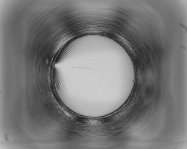 X0000097770794200803281639