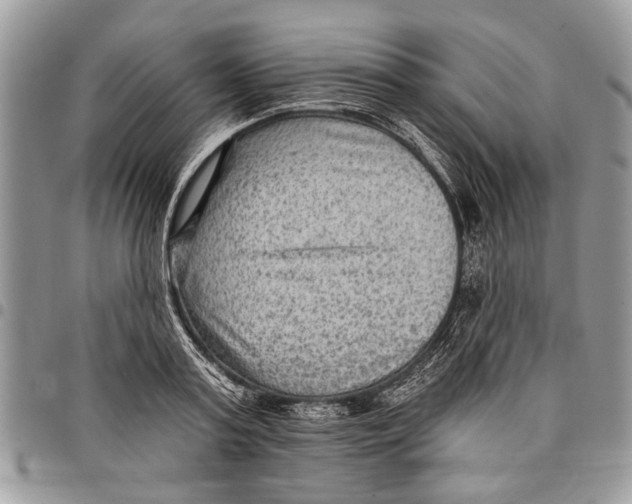 X0000097770795200803281639