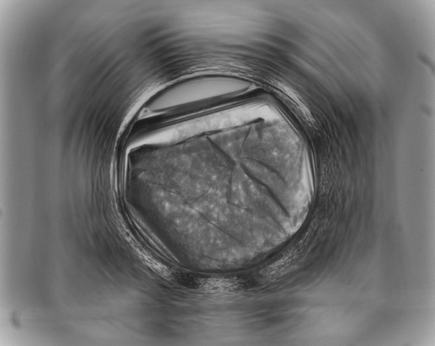 X0000097770796200803281639