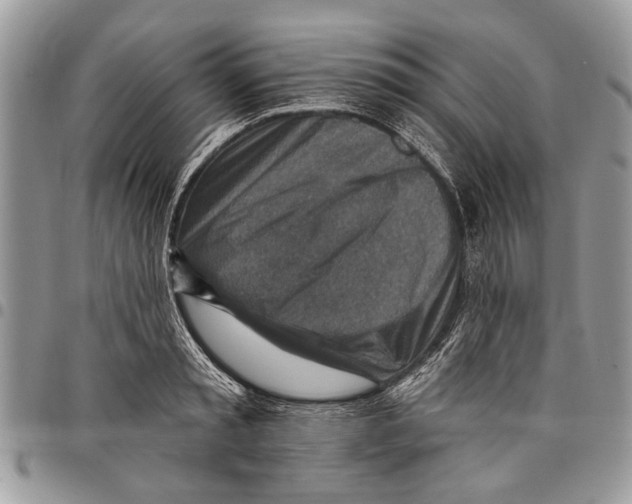 X0000097770797200803281639