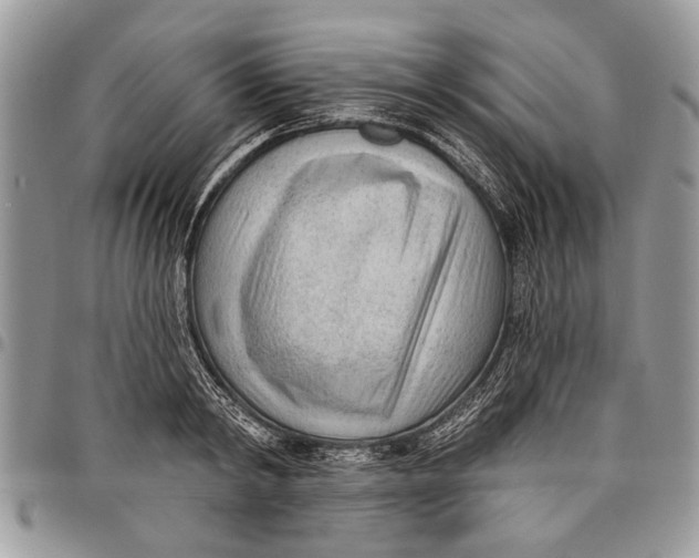 X0000097770798200803281639