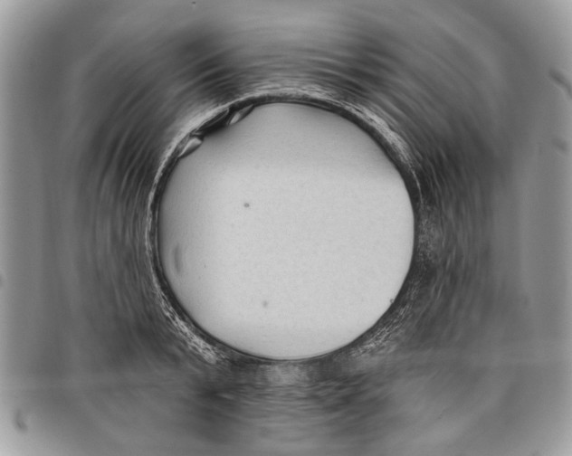 X0000097770799200803281639