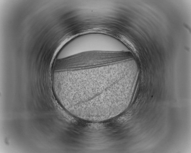 X0000097770800200803281639