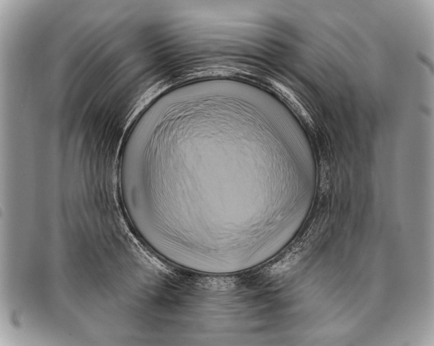 X0000097770802200803281639