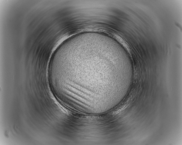 X0000097770803200803281639