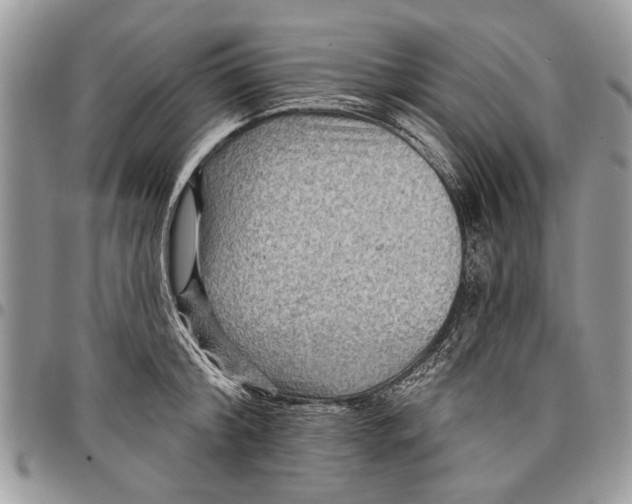 X0000097770804200803281639