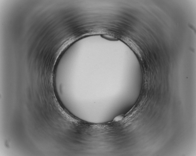 X0000097770805200803281639