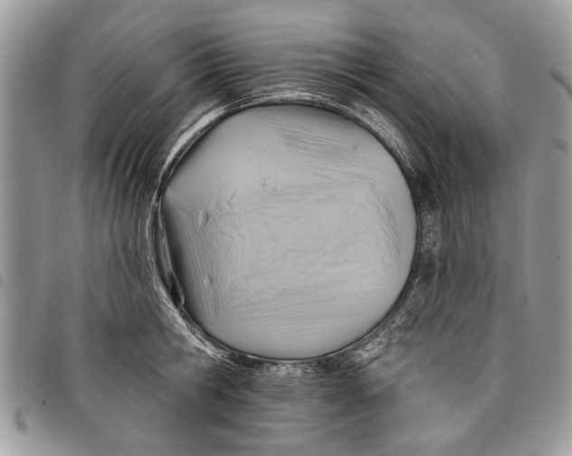 X0000097770806200803281639