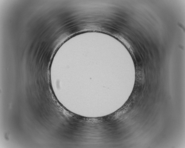 X0000097770807200803281639