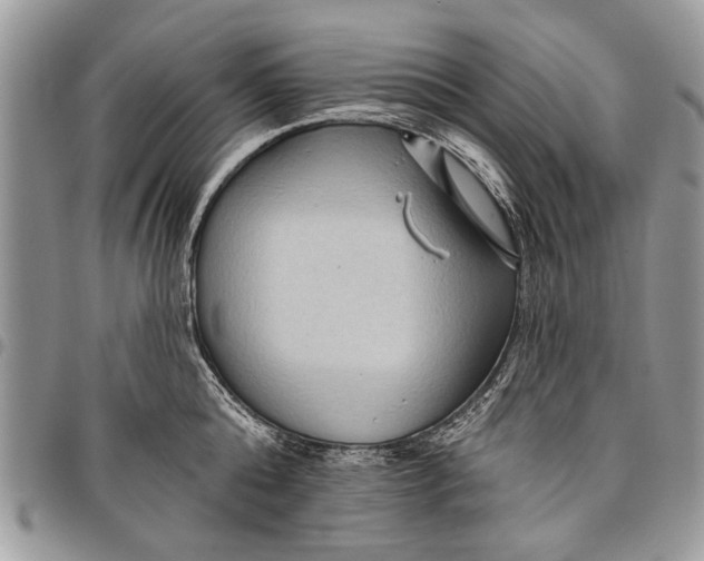 X0000097770808200803281639