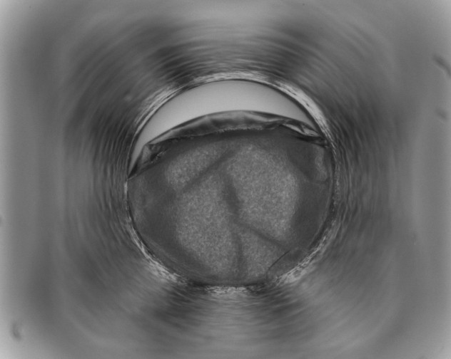 X0000097770809200803281639