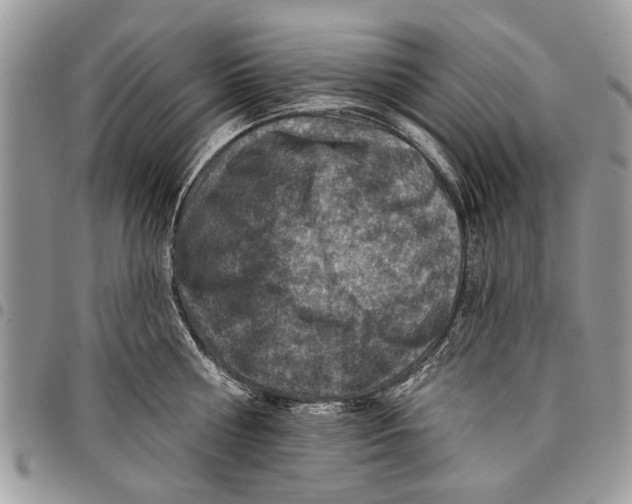 X0000097770810200803281639