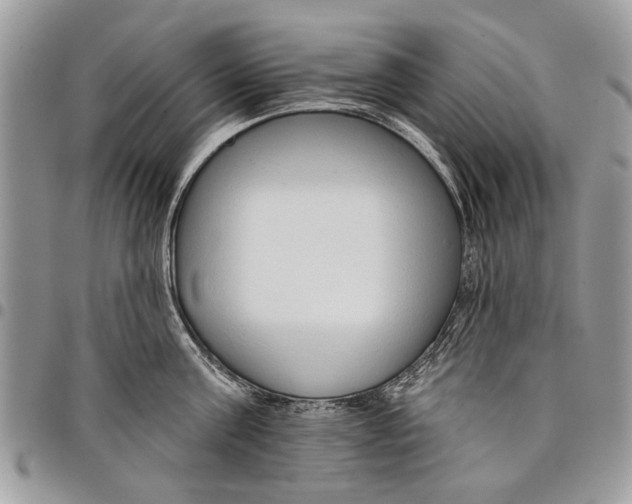 X0000097770811200803281639