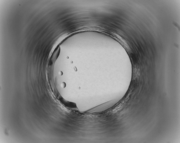 X0000097770812200803281639