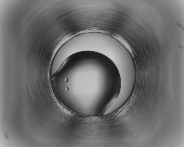 X0000097770813200803281638