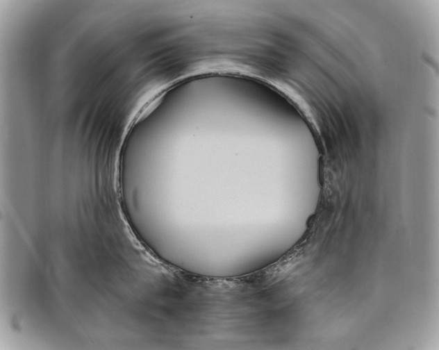 X0000097770815200803281638