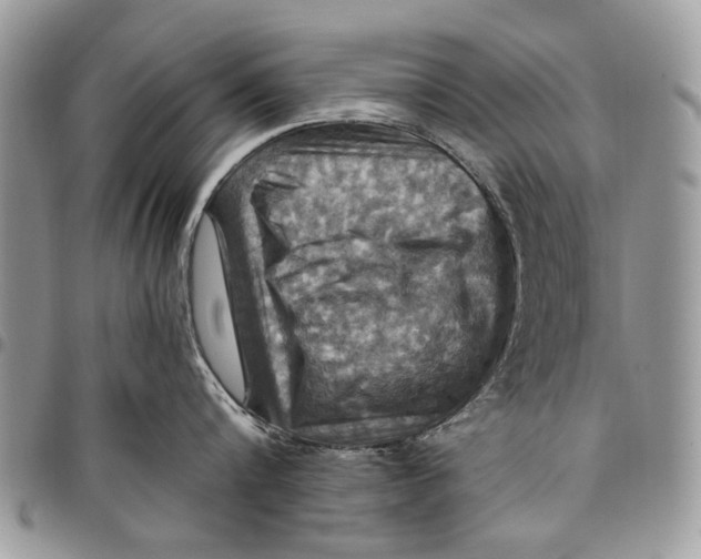 X0000097770816200803281638