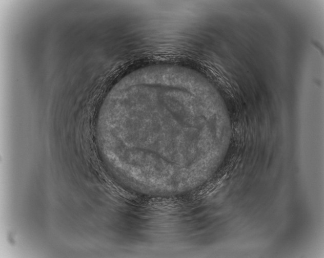 X0000097770817200803281638